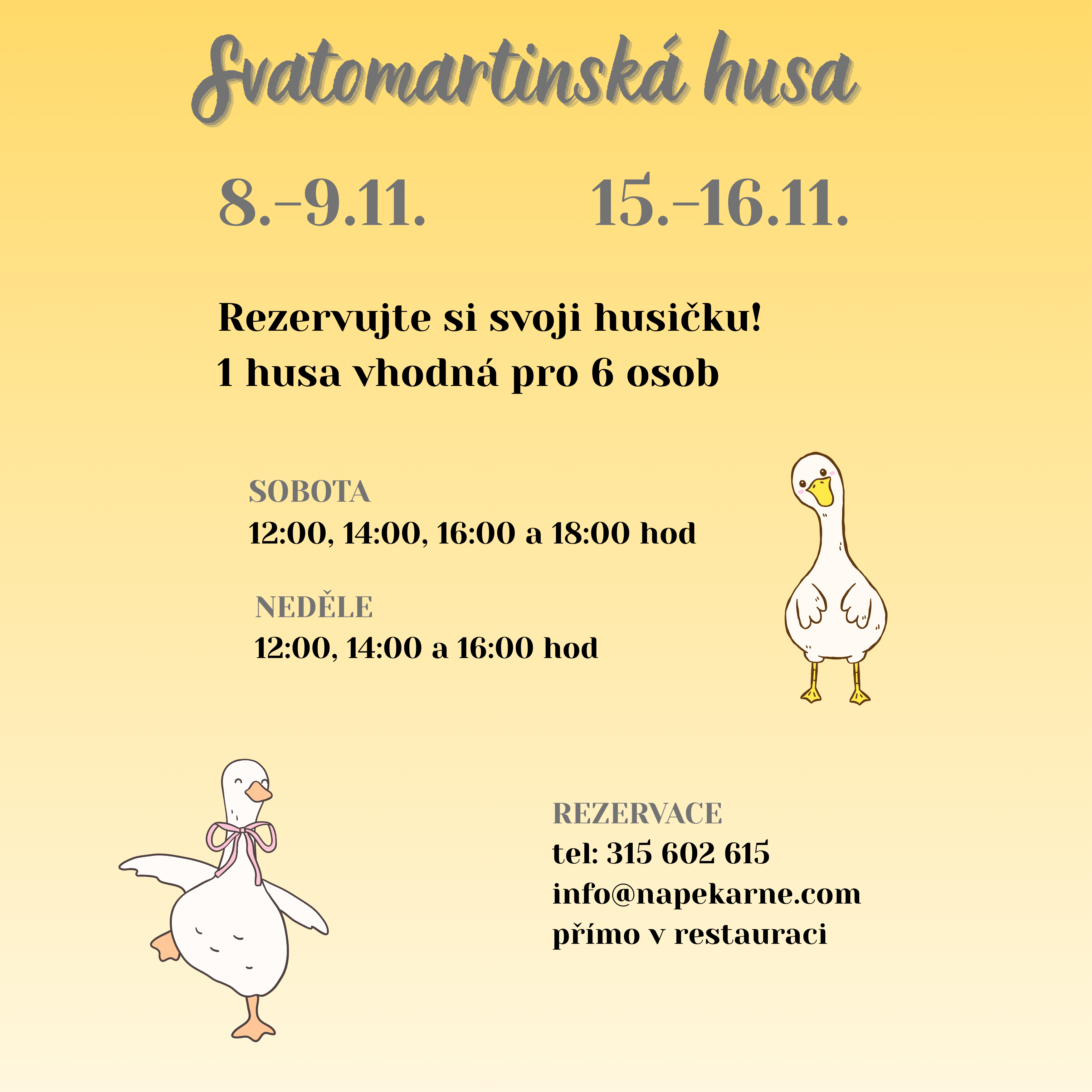 Svatomartinská husa  photo 1